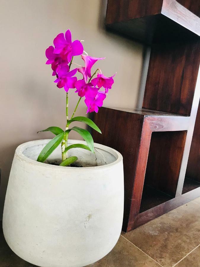 Te Fiti Island Break Hotel Mahina Exterior photo